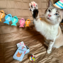 Load image into Gallery viewer, Pet Cat Birthday Kit