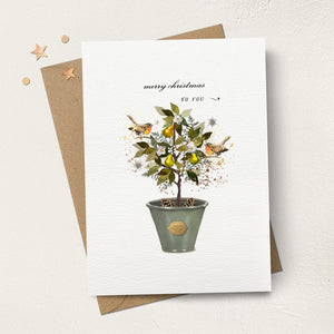 Robins Pear Tree Christmas Card