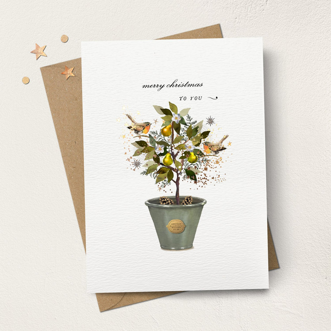 Robins Pear Tree Christmas Card