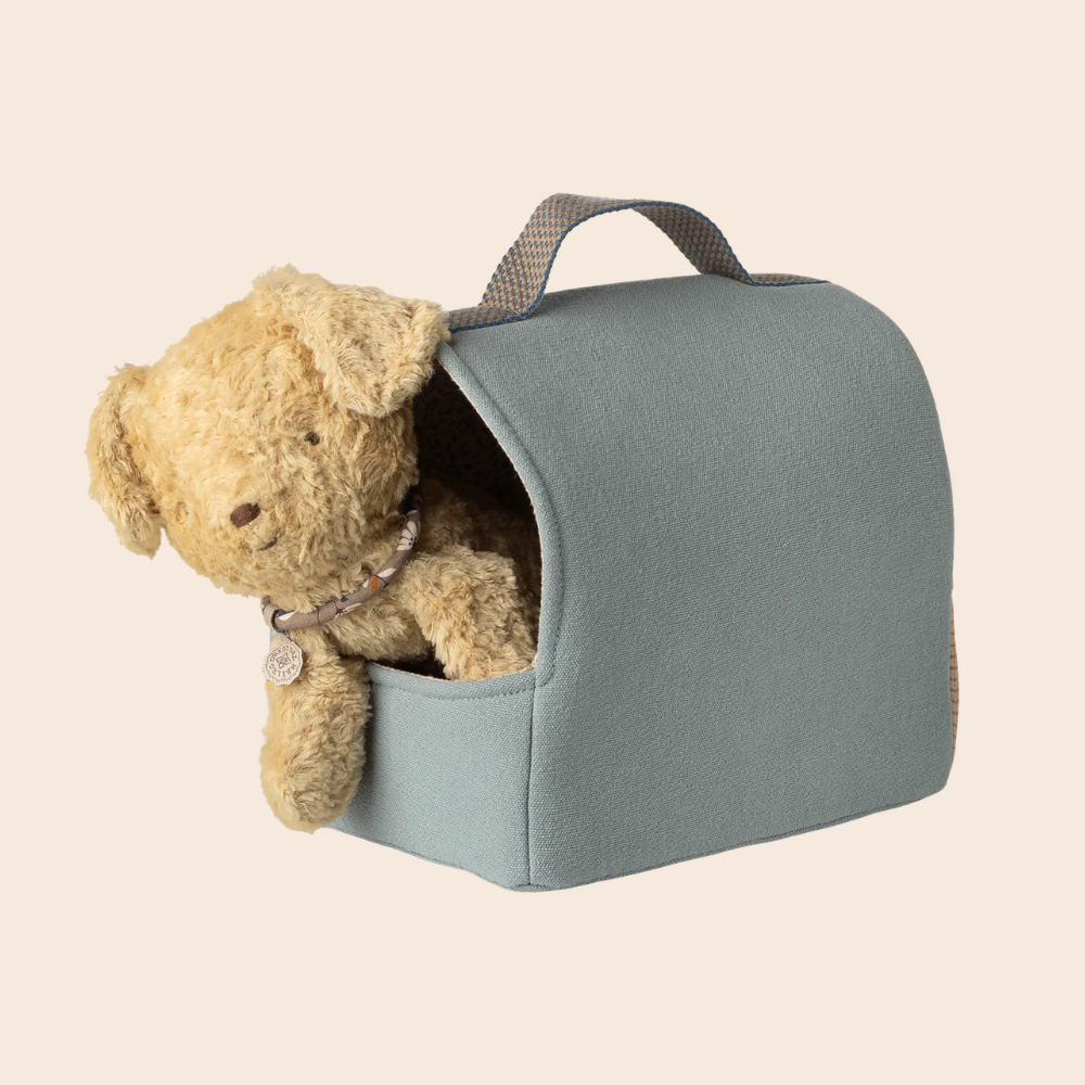 Dusty Blue Pet Carrier
