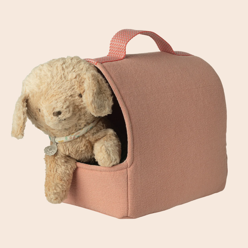 Coral Pet Carrier