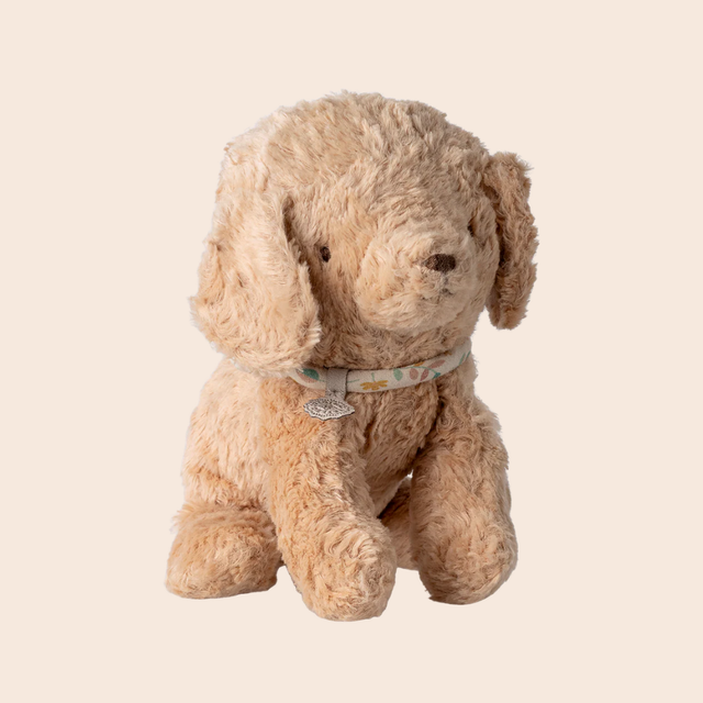 Small Dusty Powder Puppy