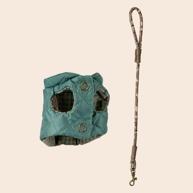 Dark Mint Pet Harness & Leash
