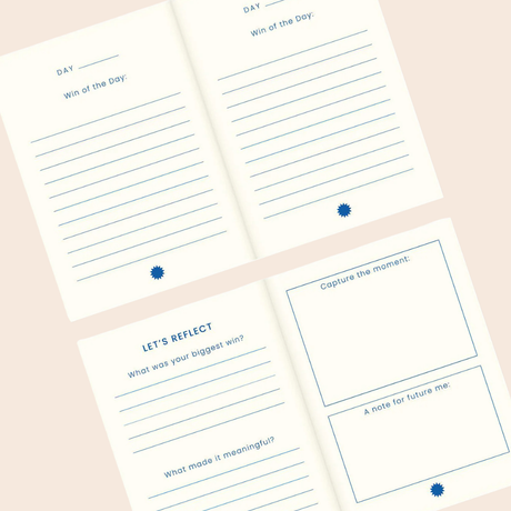 The Little Book of Tiny Triumphs
