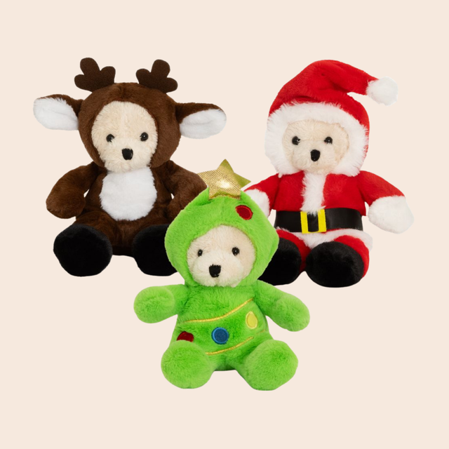 Festive Dress Up Teddy