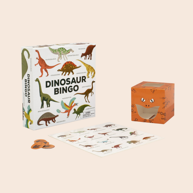 Dinosaur Bingo