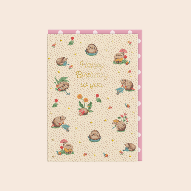 Hedgehog Birthday Card