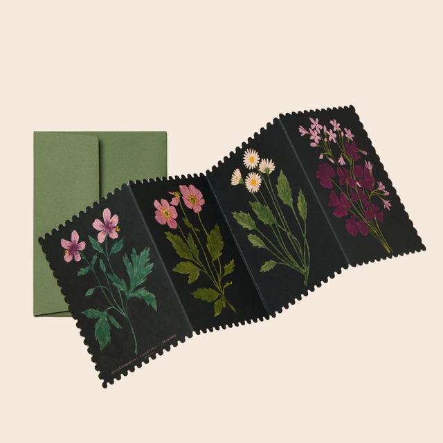 Botanical Concertina Card
