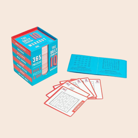 Puzzle A Day: 365 Puzzles