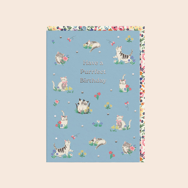 Purrfect Kittens Birthday Card
