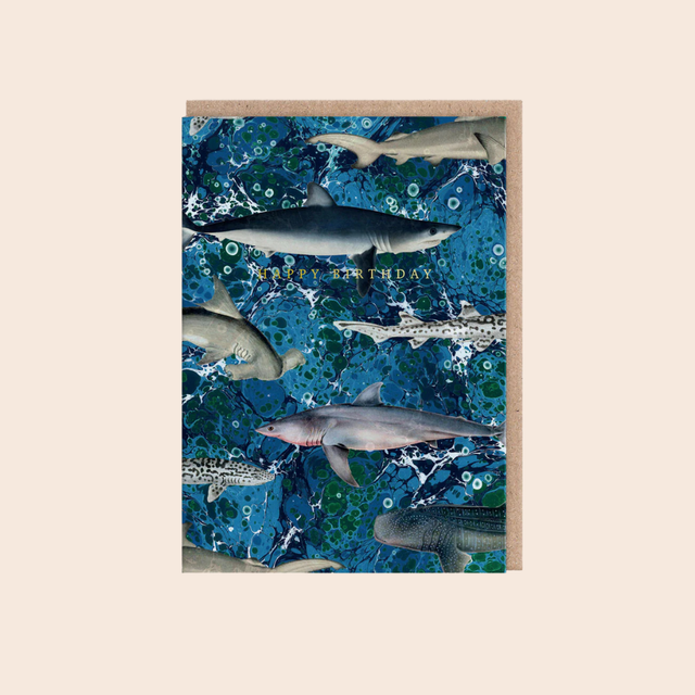 Marbled Sharks Birthday Cared