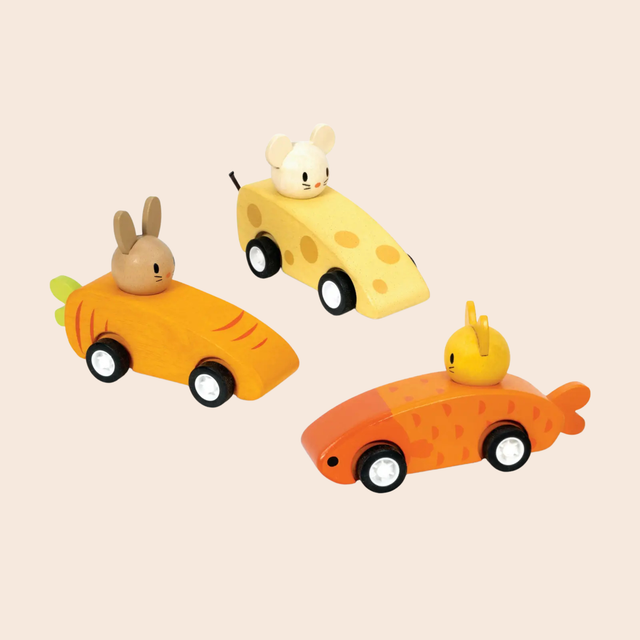 Animal Friends Racing Cars