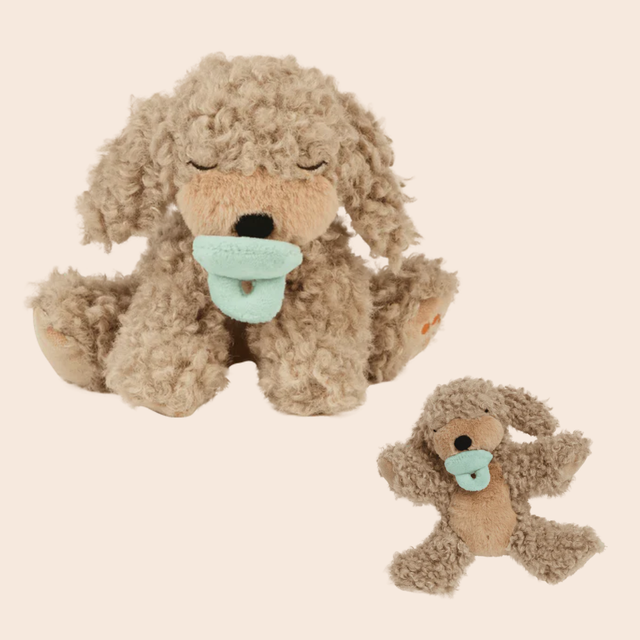 Binky Puppy Gold Benny