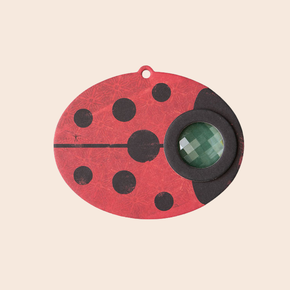 Ladybird Insect Eye