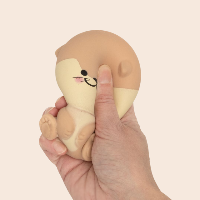 Kawaii Animal Squishies