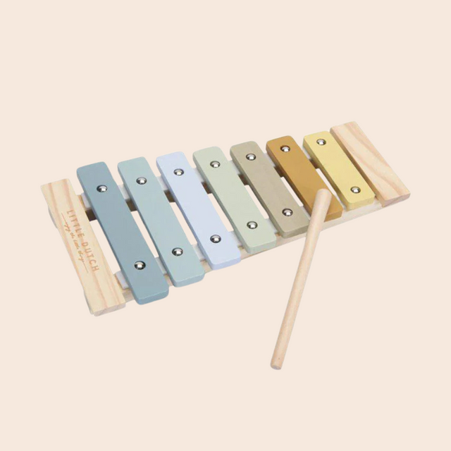 Blue Wooden Xylophone