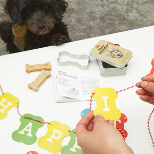 Pet Dog Birthday Kit