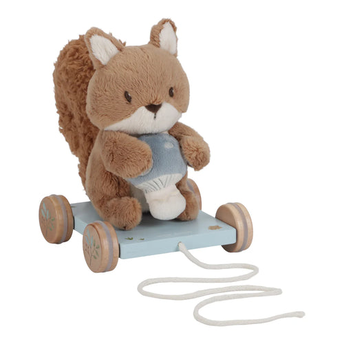 Pull Along Soft Squirrel