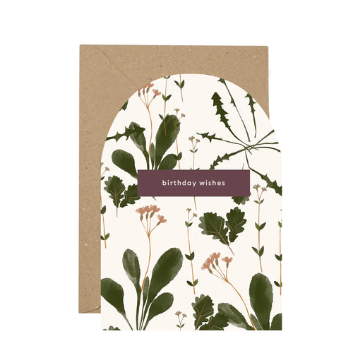 Birthday Succulents Card