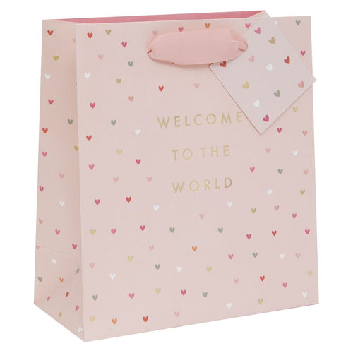 Large Welcome Little One Pink Gift Bag