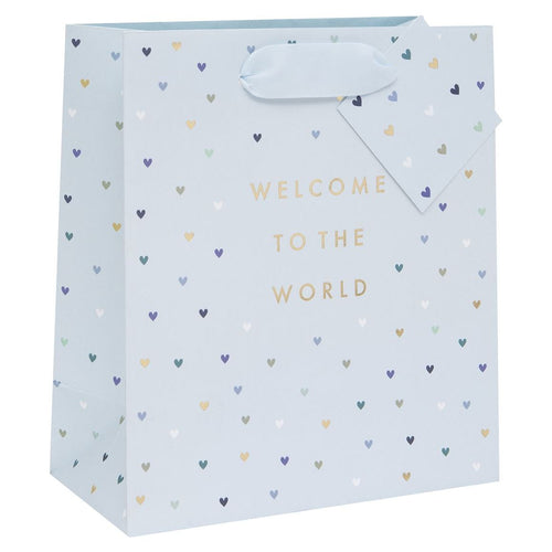 Medium Welcome Little One Blue Gift Bag