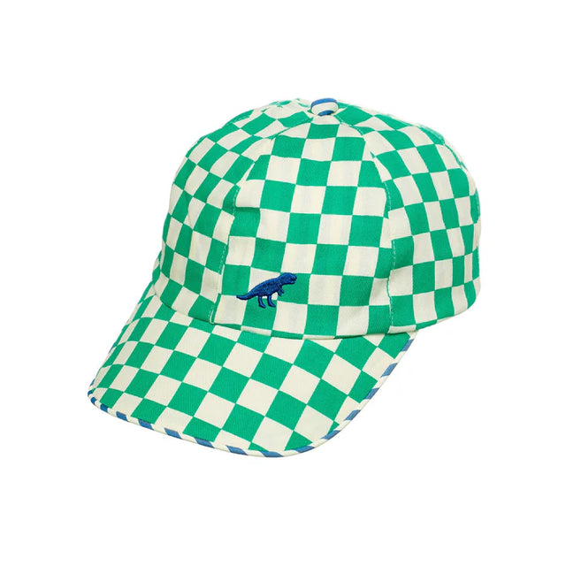 Dinosaur Check Cap