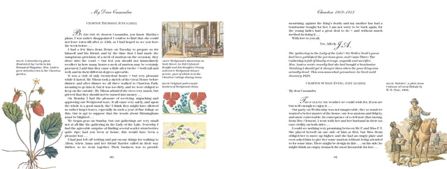 The Illustrated Letters of Jane Austen