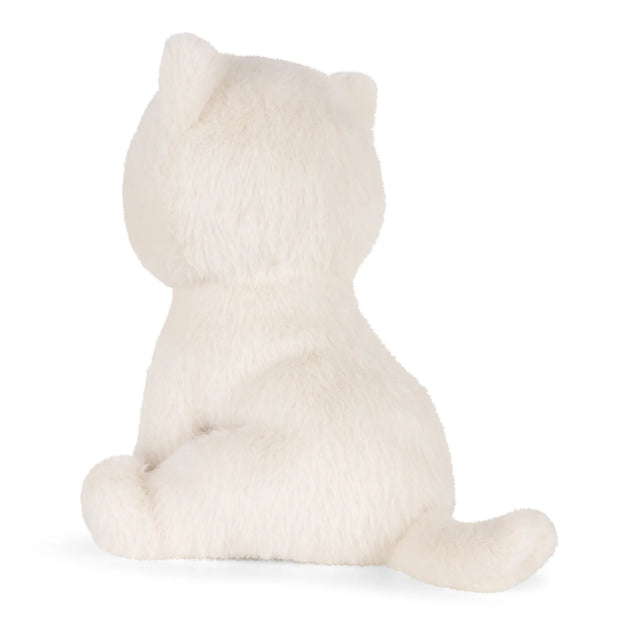 Dolly Ragdoll Kitten