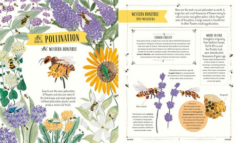 Buzz: A Childs Guide To Bugs & Bees