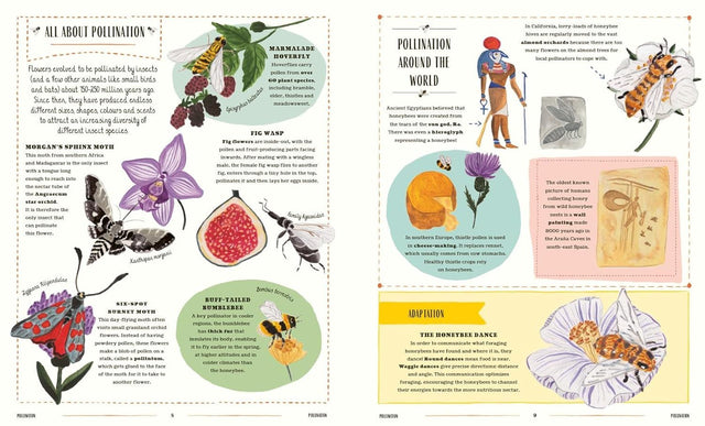 Buzz: A Childs Guide To Bugs & Bees