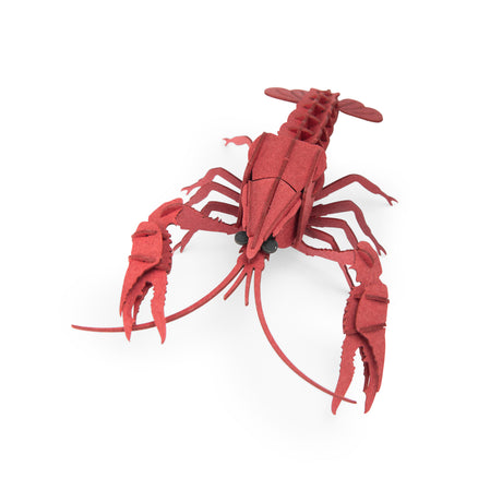 Crayfish 3D Puzzle