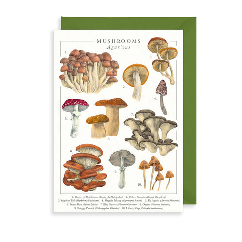 British Mushrooms Card