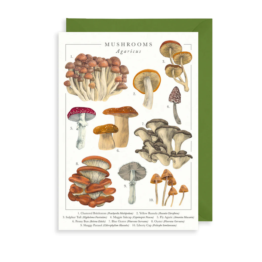 British Mushrooms Card