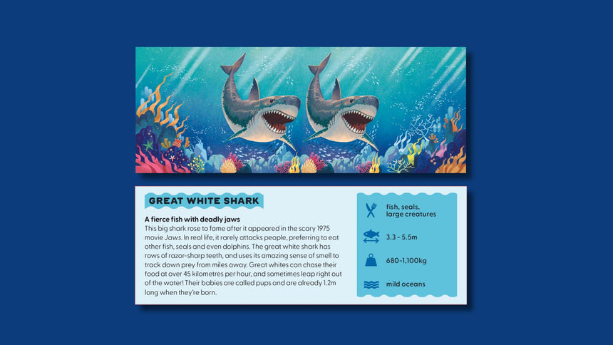 Immersive 3D Viewer: Dive Into The Ocean
