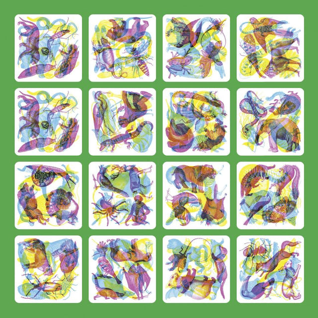 Illuminature: A Spotting Game