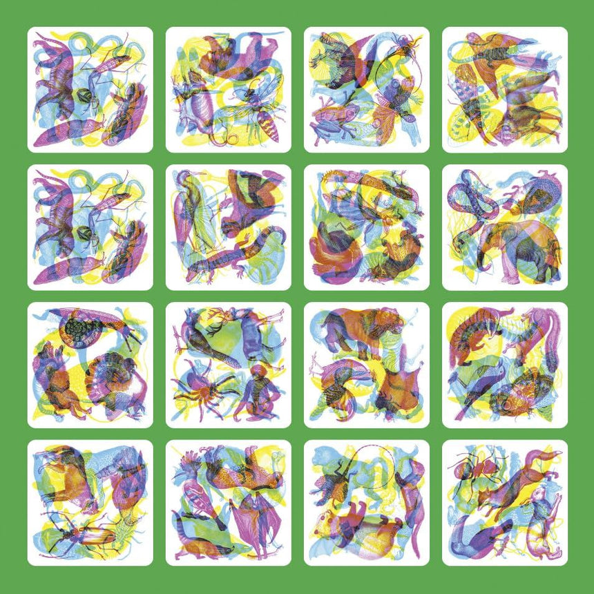 Illuminature: A Spotting Game