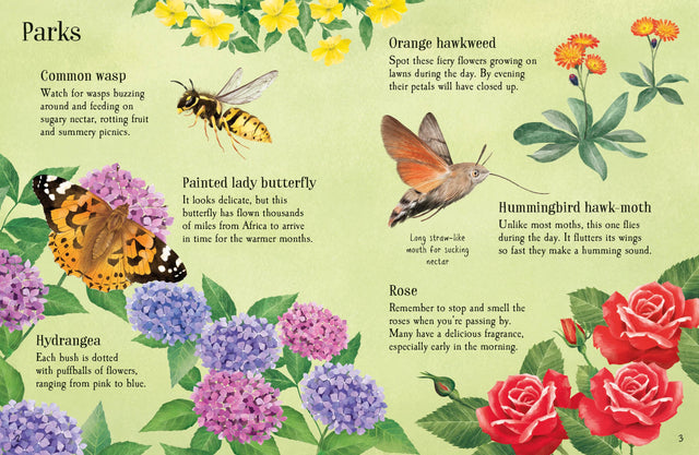 Usborne Minis: Things To Spot In Summer