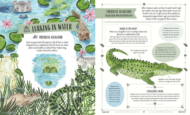 Wild: A Childs Guide To The Animal Kingdom