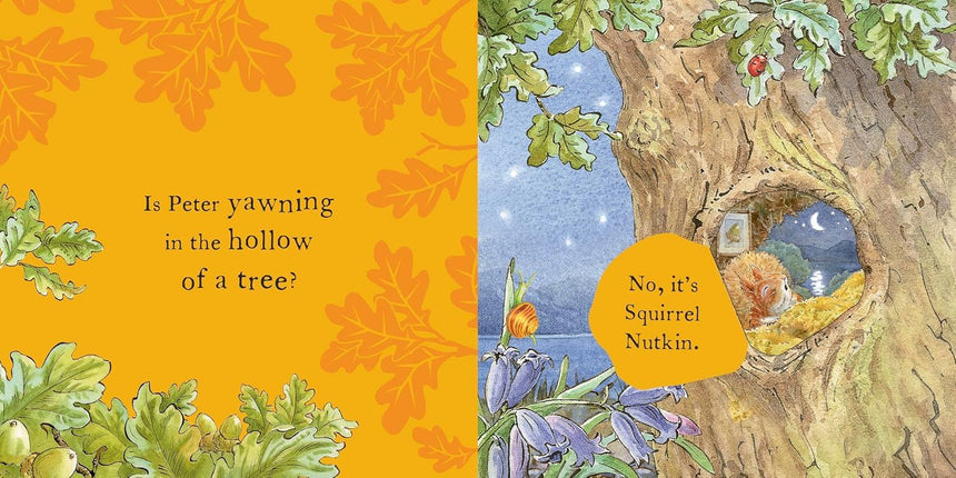 Peter Rabbit: Peters Bedtime