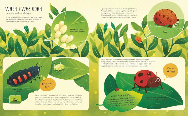 Secret Life Of Bugs Bees And Trees