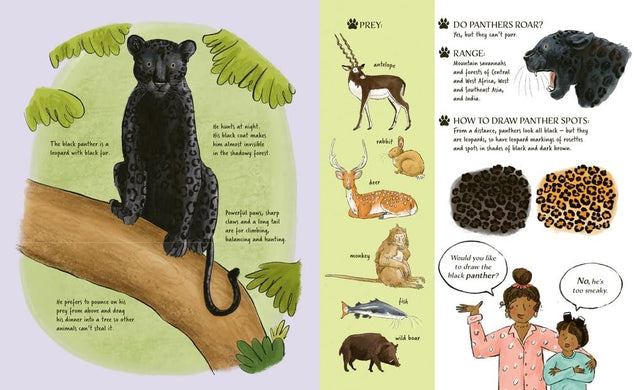 Meet The Cats
