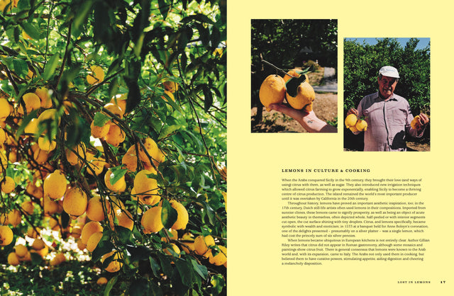 For The Love Of Lemons