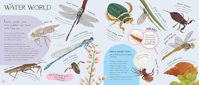 Mini Beasts Under The Magnifying Glass