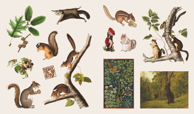 Stickers Treasury Of Woodland Adventures