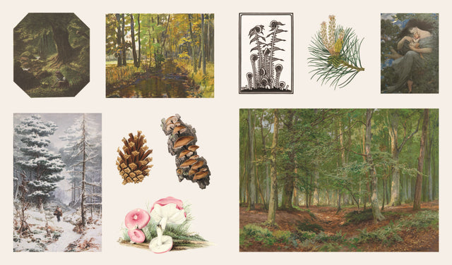 Stickers Treasury Of Woodland Adventures