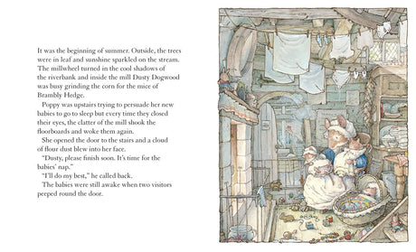 Brambly Hedge: Poppys Babies