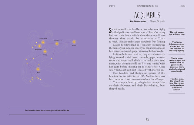 Constellations: A Guide For The Curious