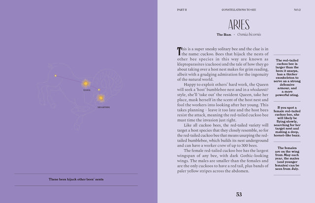 Constellations: A Guide For The Curious