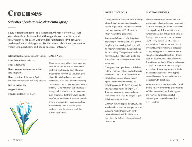 Planting For A Year Of Flowers