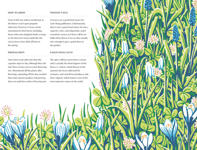 Planting For A Year Of Flowers